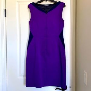 Tahari Sheath Dress